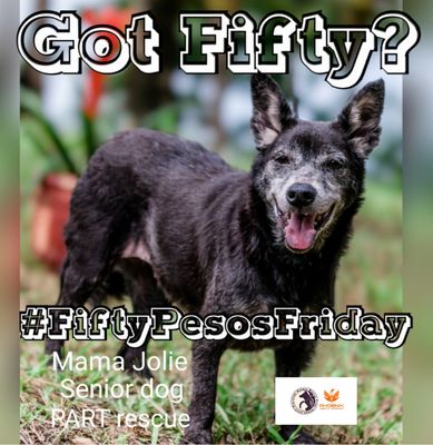 #FiftyPesosFriday