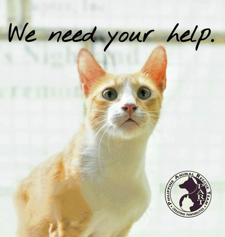 Give today!