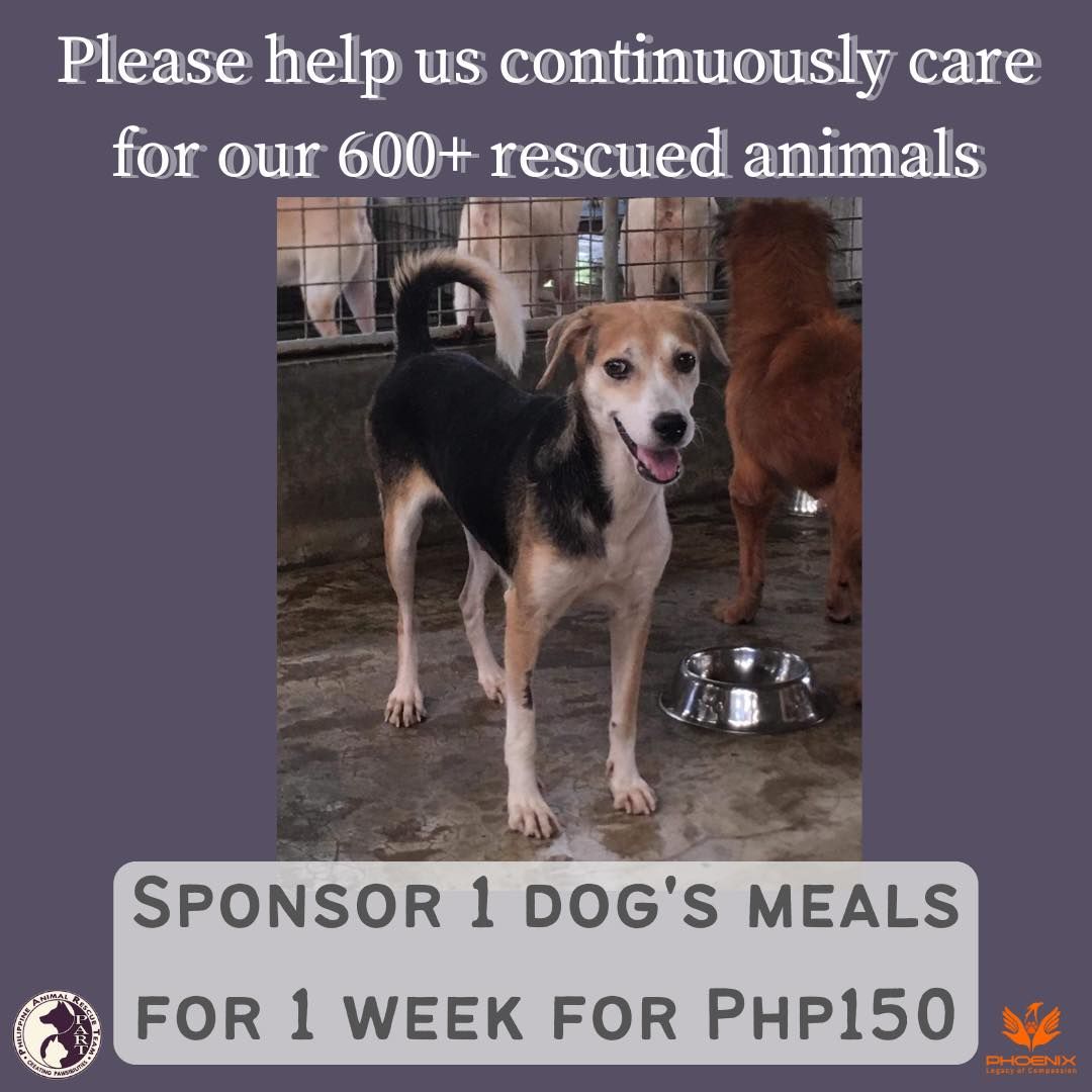 Sponsor 1 Dog&#39;s meals