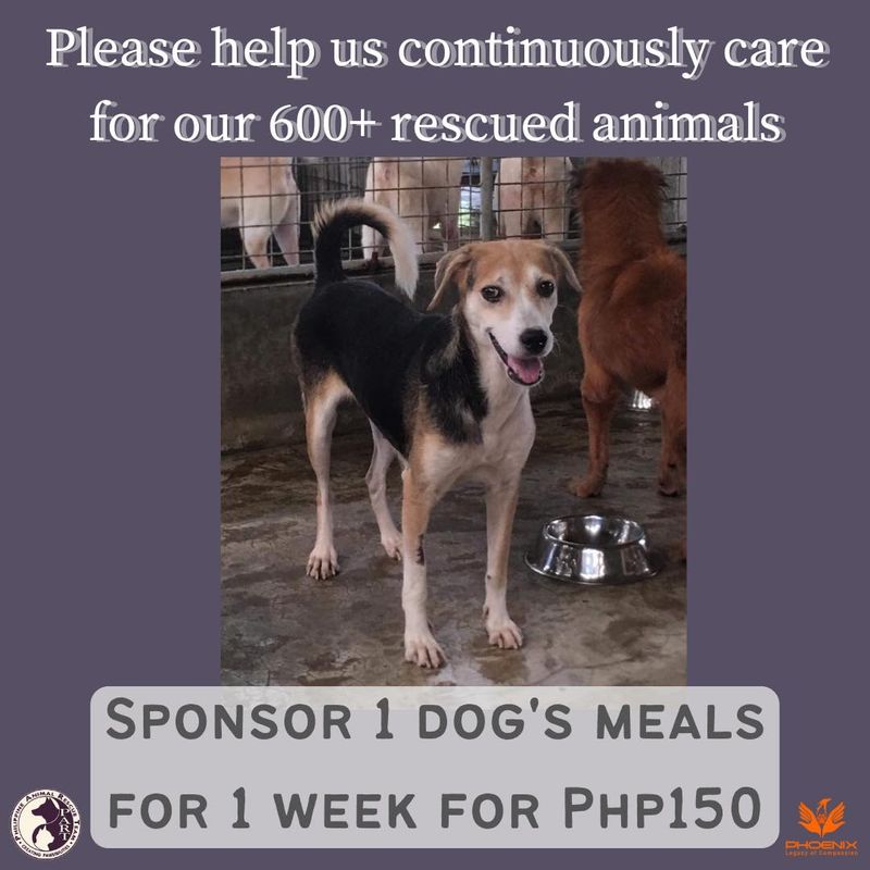 Sponsor 1 Dog&#39;s meals