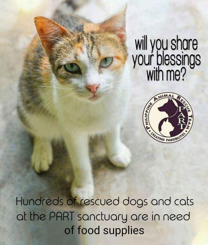 Sponsor 1 Cat's meals