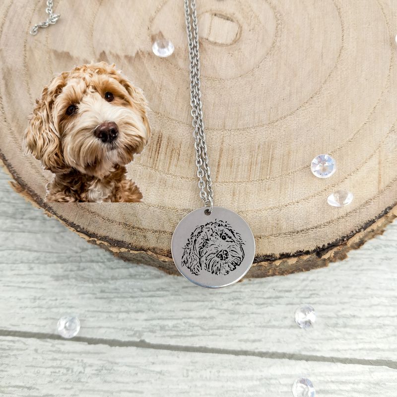 Have you pets face engraved on to a necklace, comes gift boxed