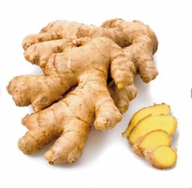 Ginger - Native