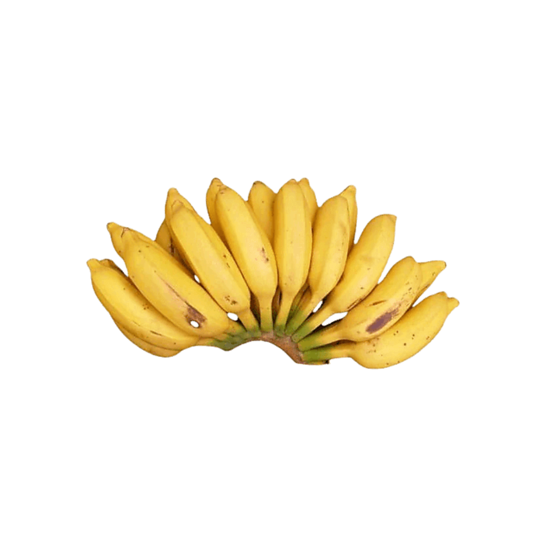 Banana - Latundan