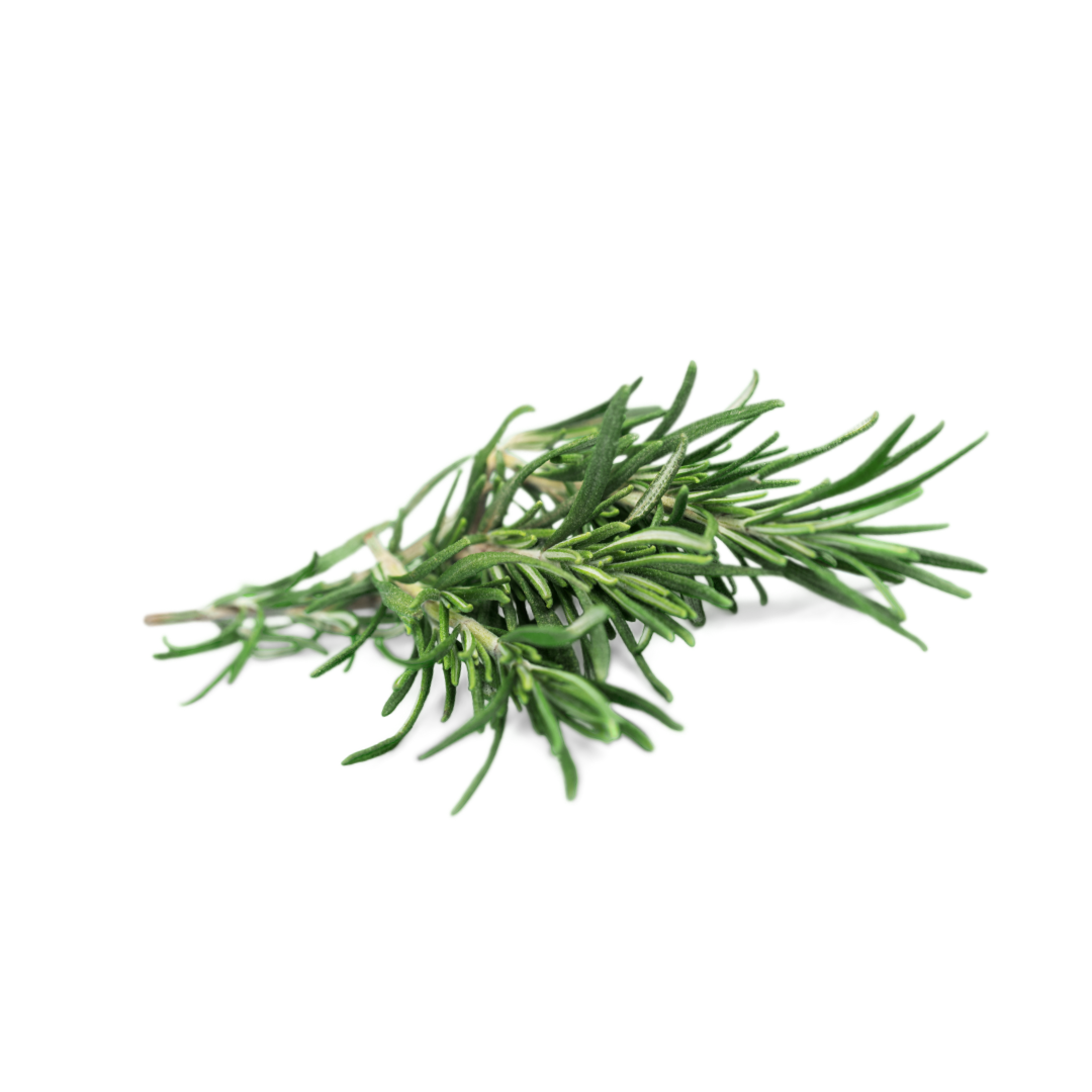 Rosemary