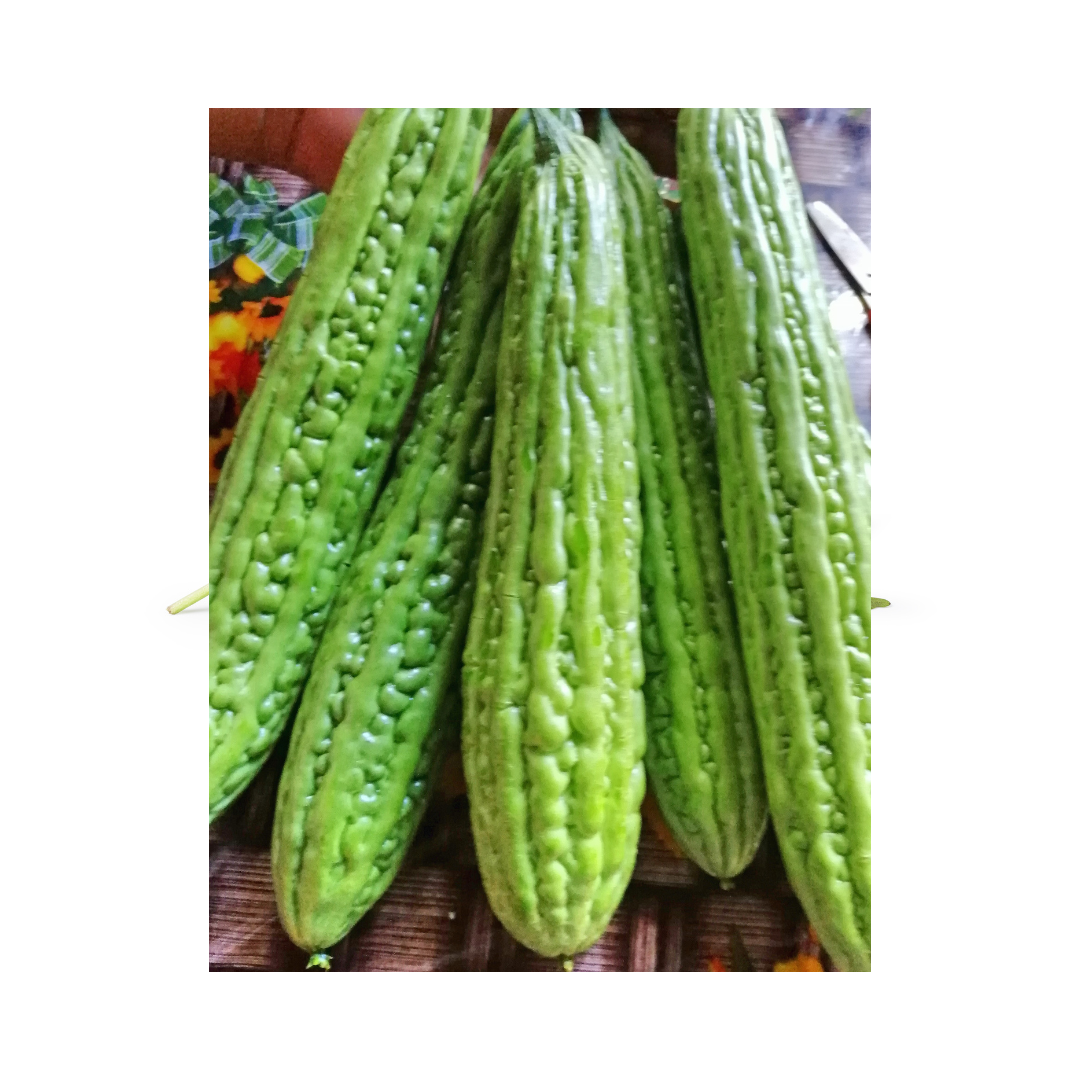 Ampalaya (Bittergourd)