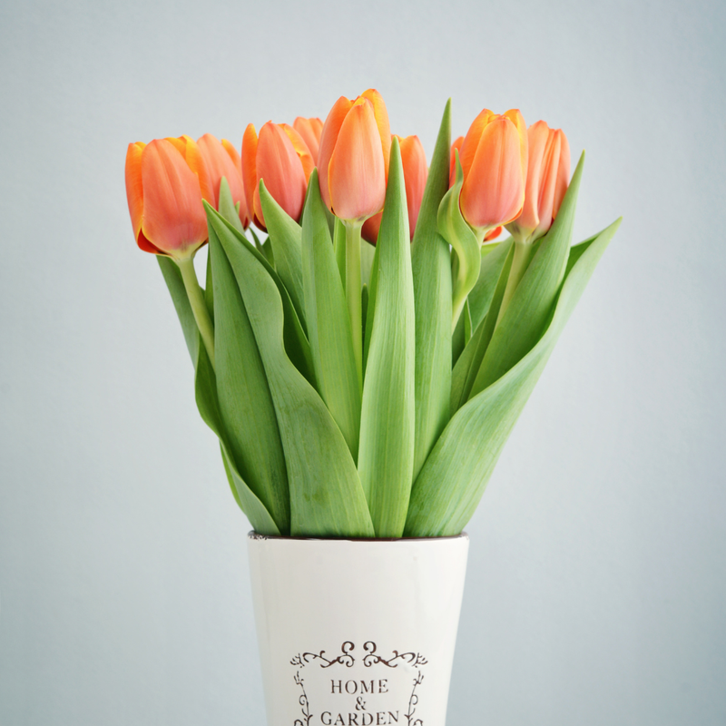 RAMO DE TULIPANES NARANJA