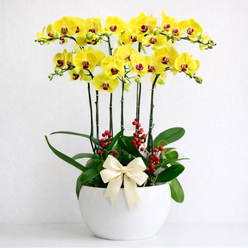 CESTA DE ORQUIDEAS MOON