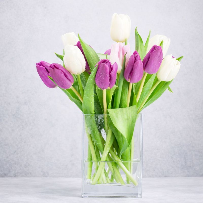 RAMO DE TULIPANES ESPECIAL