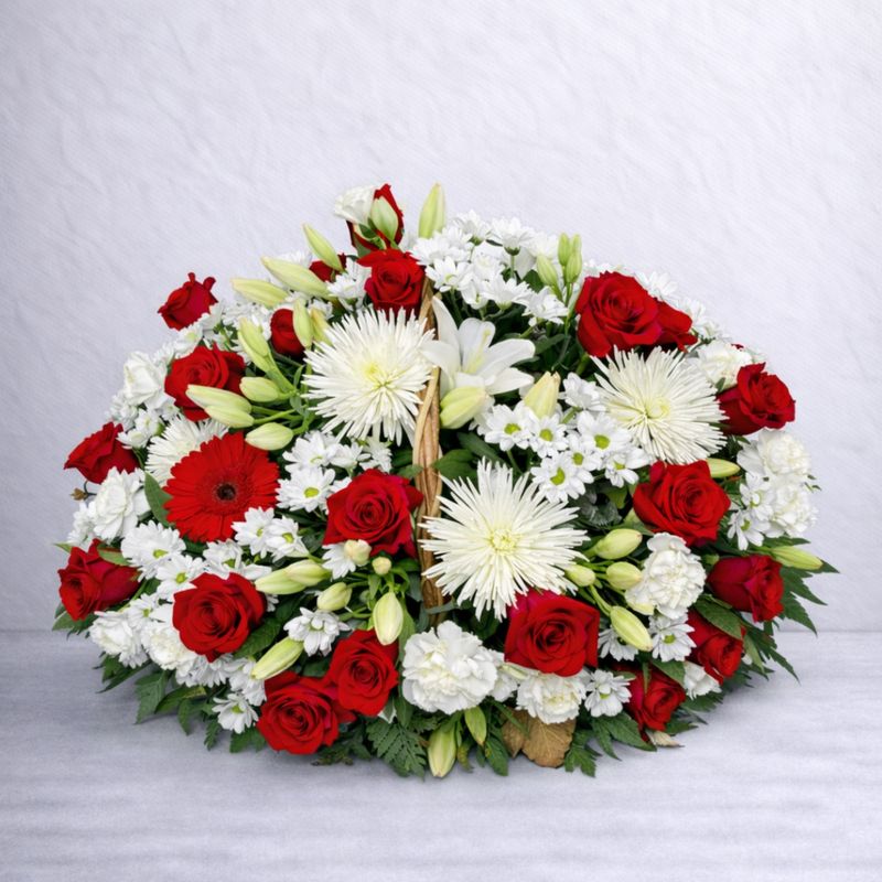 CENTRO FUNERARIO EXTRA