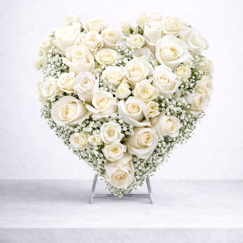 CENTRO FUNERARIO ALMA