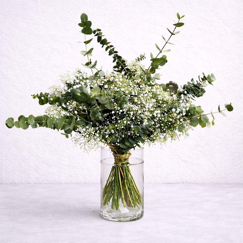 RAMO DE EUCALIPTO Y PANICULATA