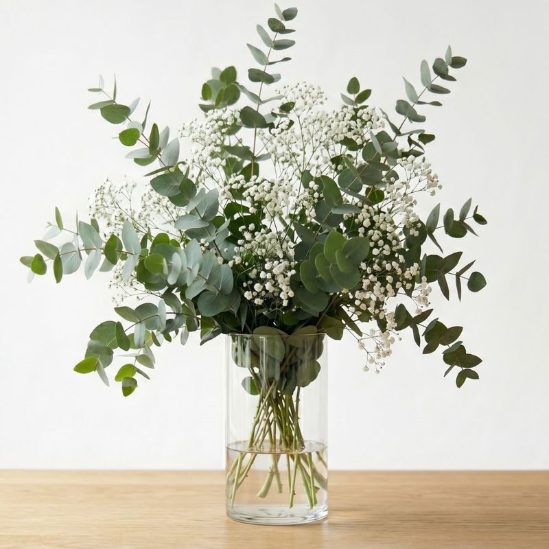 RAMO DE EUCALIPTO Y PANICULATA