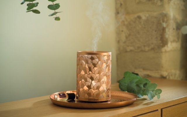 Diffuseur &quot;Brume de Parfum - Edition Cuivre &amp; Lumière&quot; Verdamper