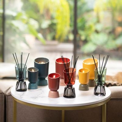 Iconic Colors Collection