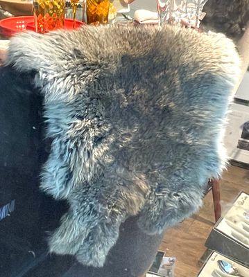 Konijnenvacht