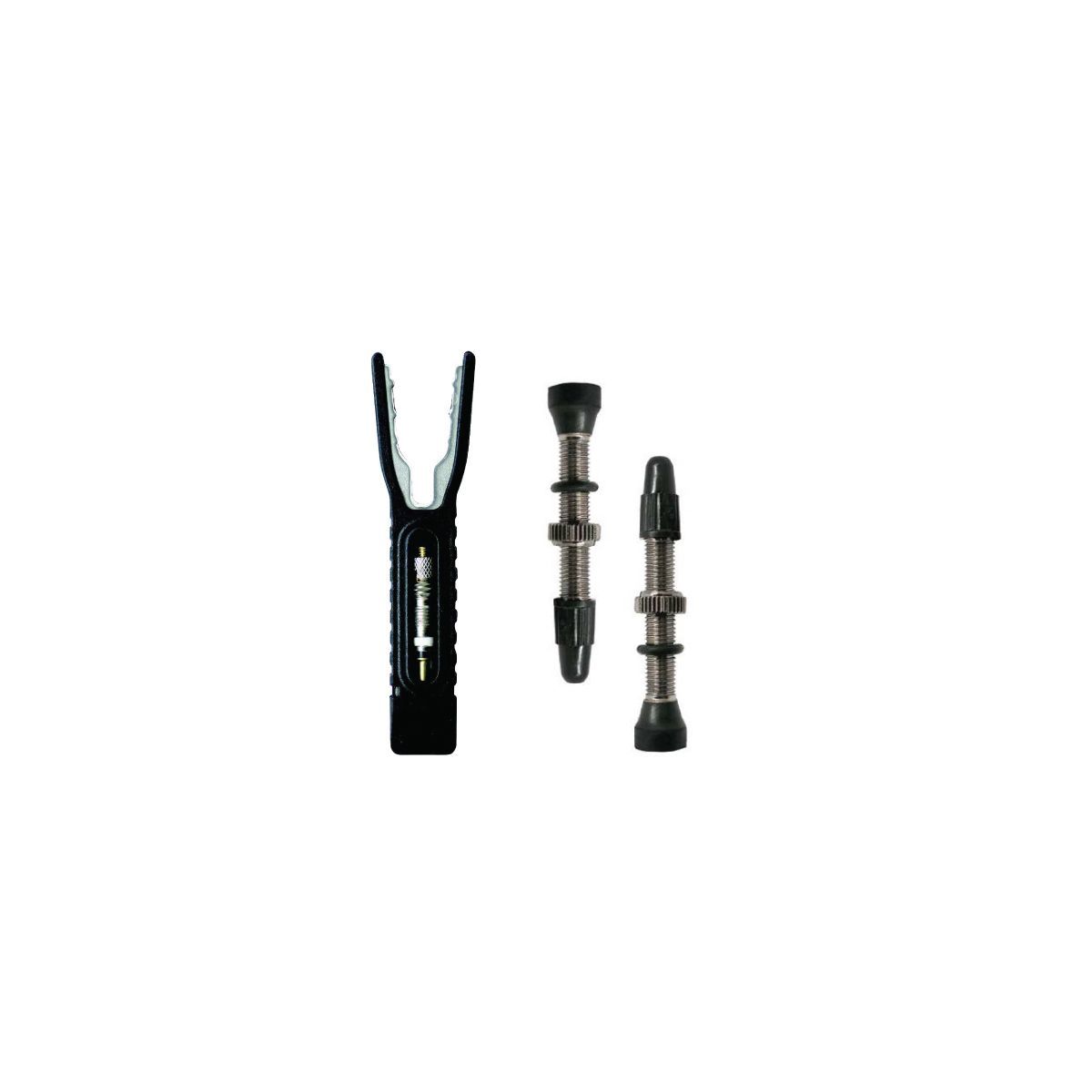 RYDER TUBELESS VALVE SET W/NUT