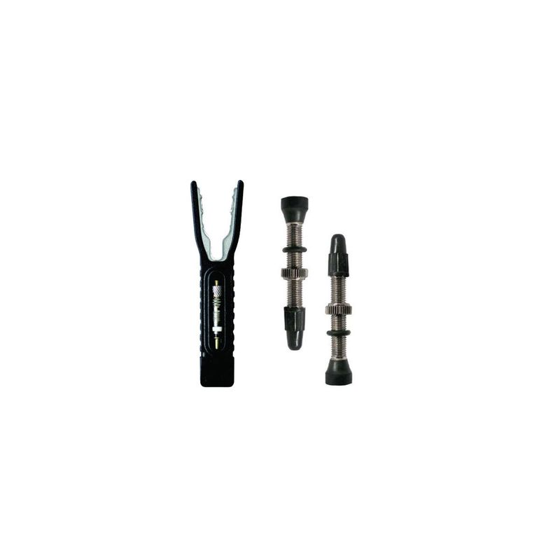 RYDER TUBELESS VALVE SET W/NUT