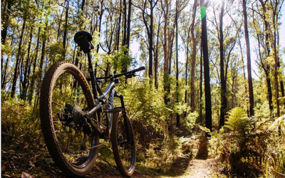Mountain Bikes