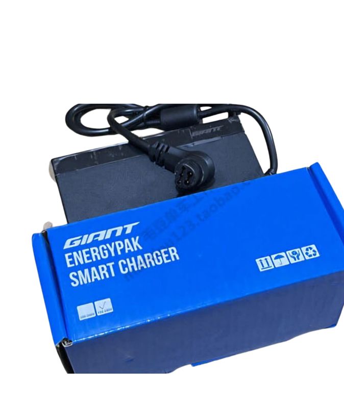 GIANT ENERGYPAK SMART CHARGER 36V 4A 5PIN