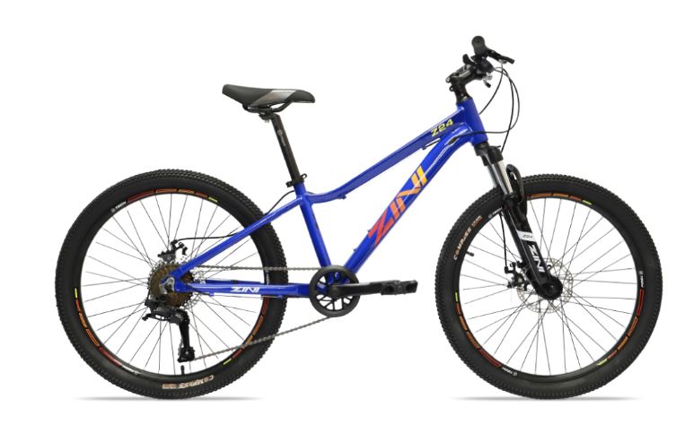 ZINI Z24 MTB BOYS