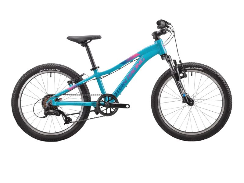 TITAN CALYPSO 20&quot; V/BRAKE