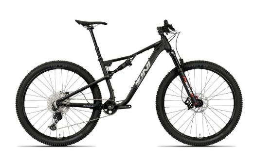 2025 ZINI ROAM 1X12 DUAL SUS
