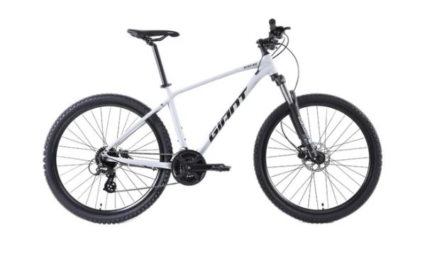 GIANT RINCON 1 29ER Grey, Colour: Grey, Size: Large