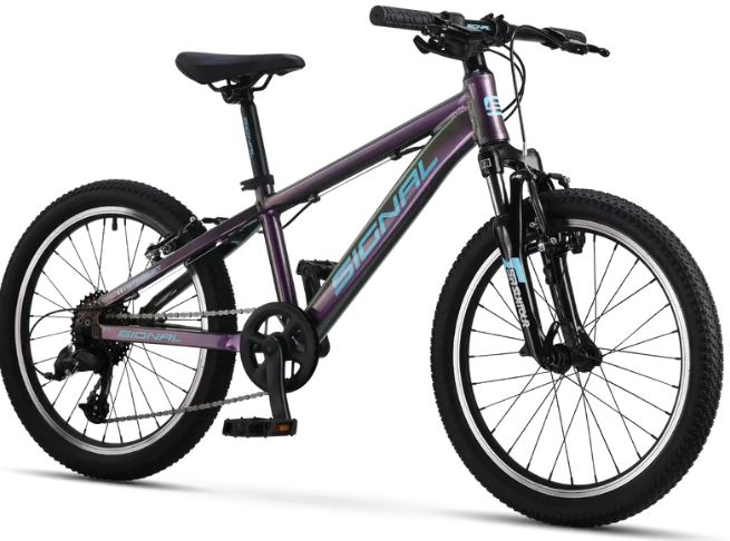 SIGNAL STARLET 20 MY26