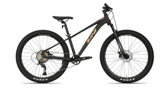 ZINI25 Z26 DISC 9SPD