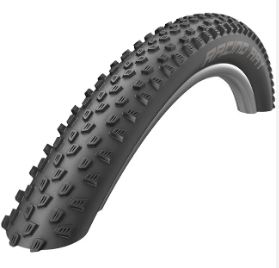 RACING RAY PERF-TWINSKIN 29X2.25