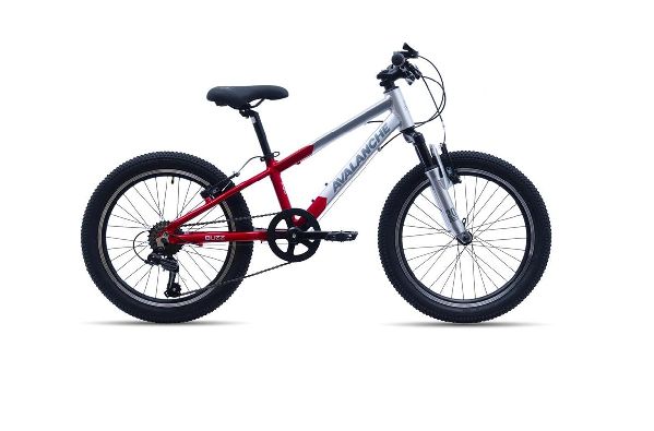 AVALANCHE BUZZ 20"BOYS, Colour: RED/SILVER