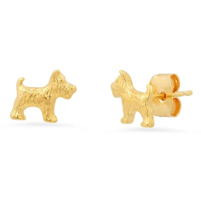 Westie Dog Studs