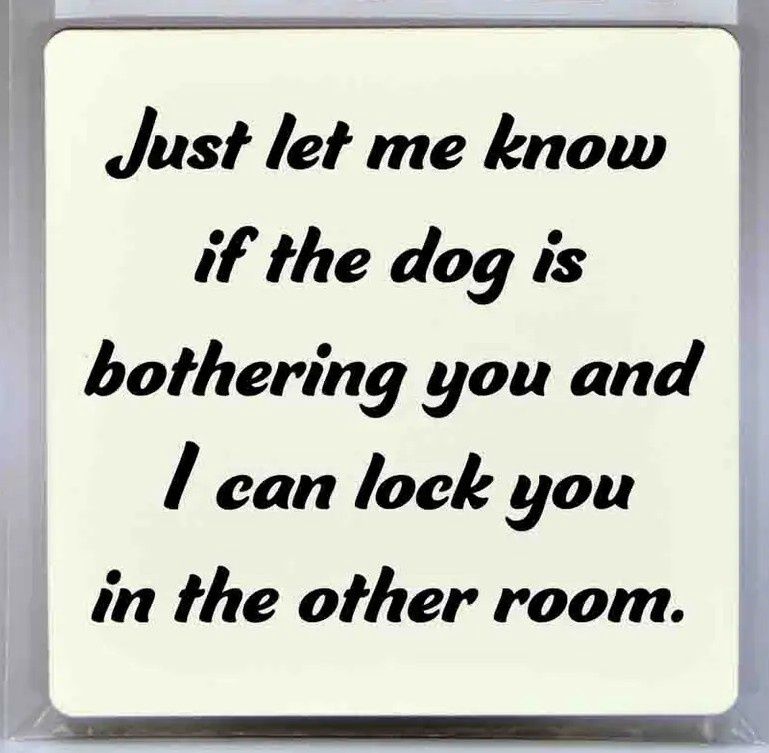 If the Dog is Bothering You Magnet