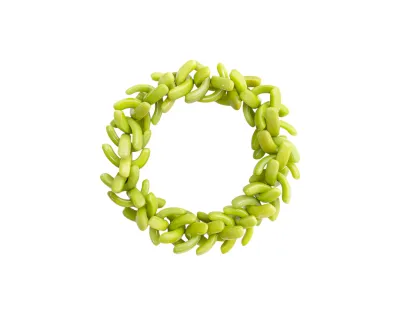 Dayana Bracelet