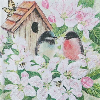 Two Birds Morning Meeting Lunch Napkins