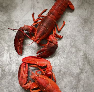 Asian Fusion Seafood Class | Wed. May 7, 2025 from 5-7pm | Chris Toy