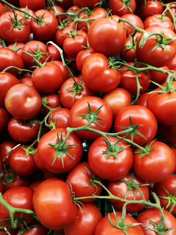 Summertime Tomatoes Class | Wed Sept 3, 2025 from 5-7