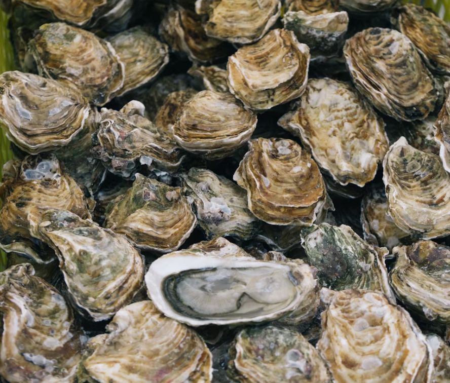 The Complete Oyster Cooking Class | Sun Oct 26, 2025 from 1-3