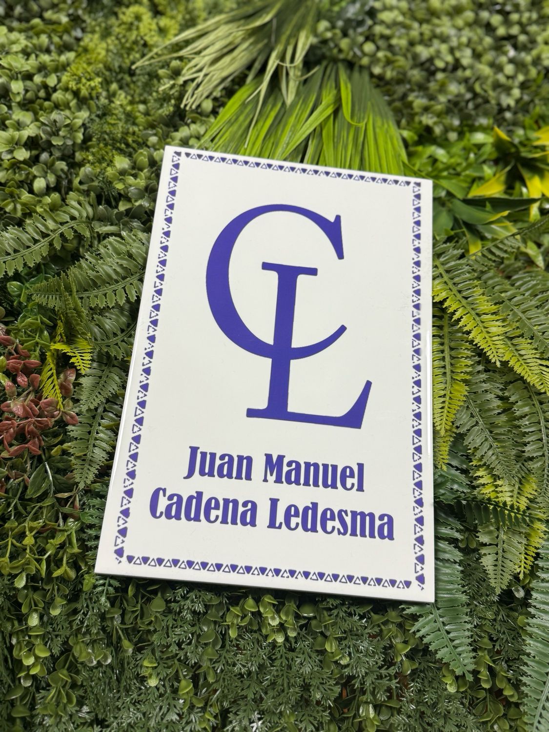 AZULEJO DE INTERIOR PERSONALIZADO