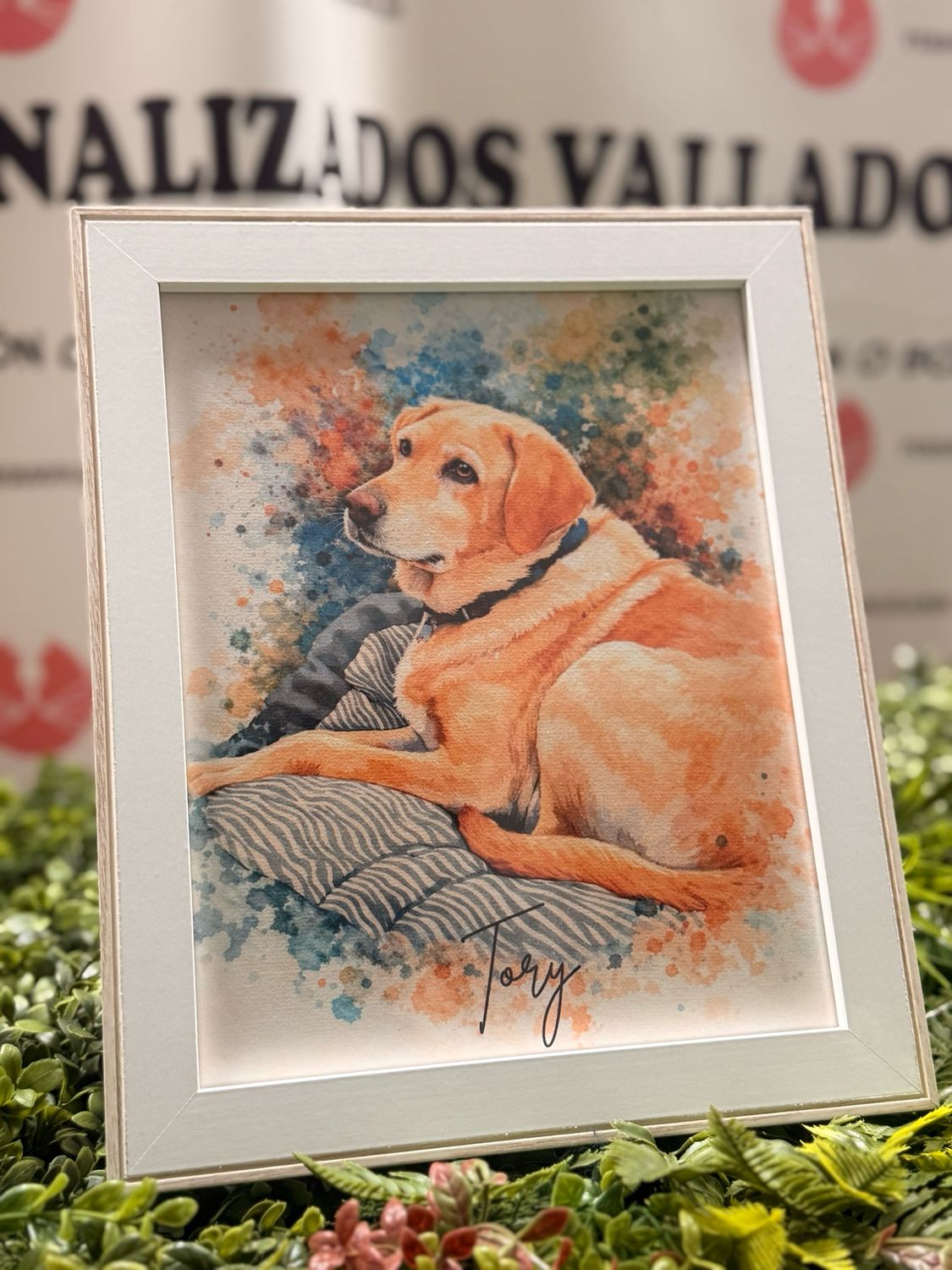 ILUSTRACIÓN ENMARCADA PERSONALIZADA