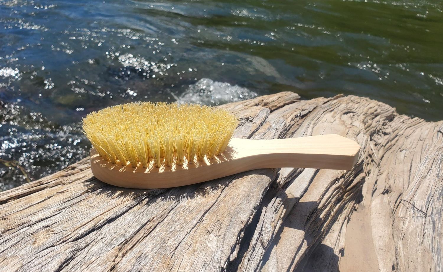 Large Agave Hard Bristle Brush