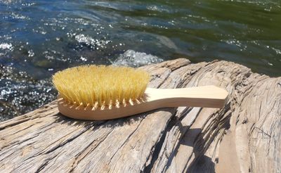 Large Agave Hard Bristle Brush