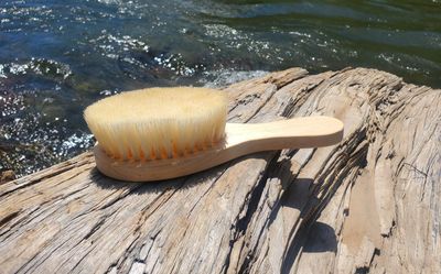 Large Agave Soft Bristle Brush