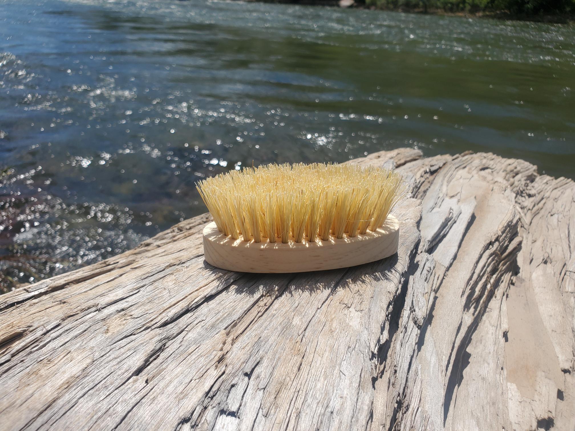 Small Agave Hard Bristle Brush