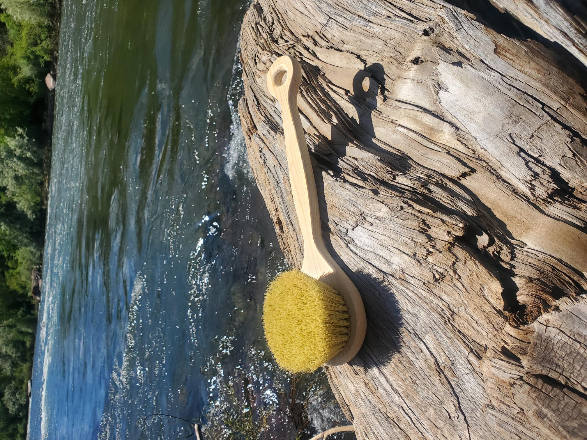 Agave Back Brush HARD Bristle