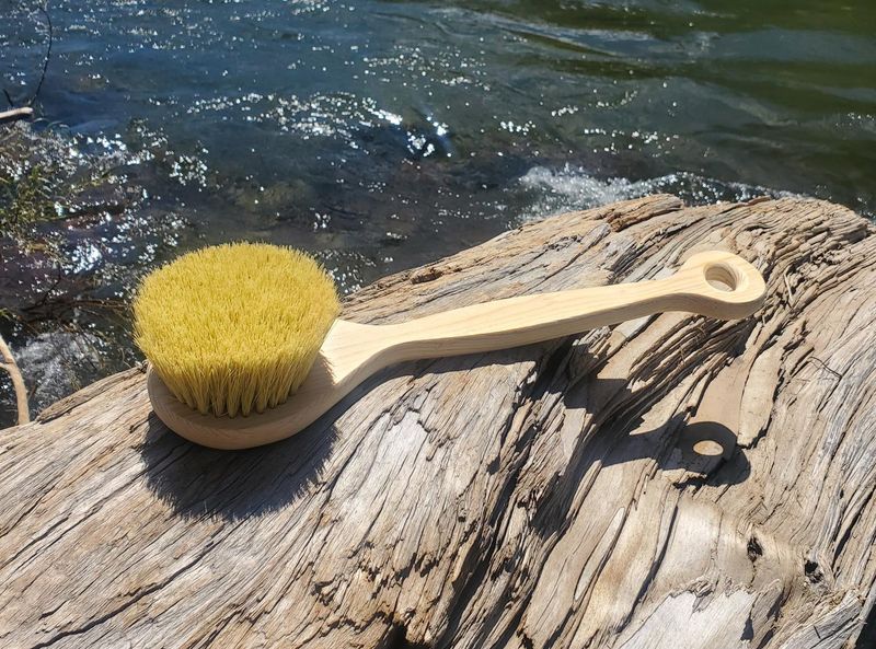 Agave Back Brush HARD Bristle