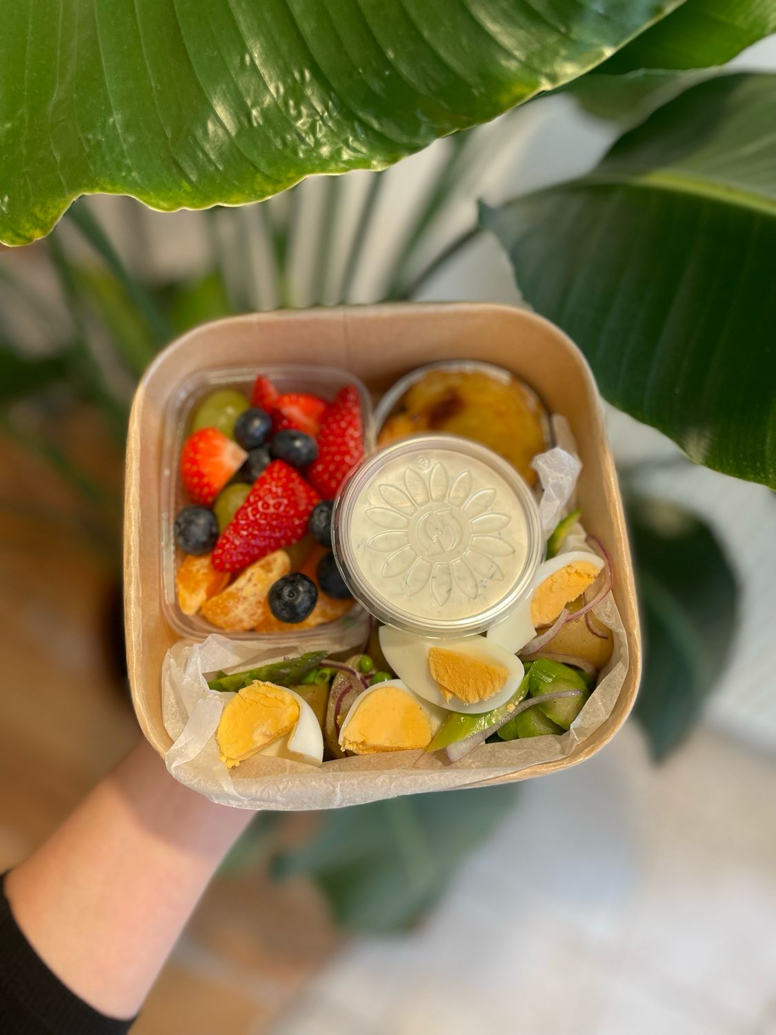 Lunchbox