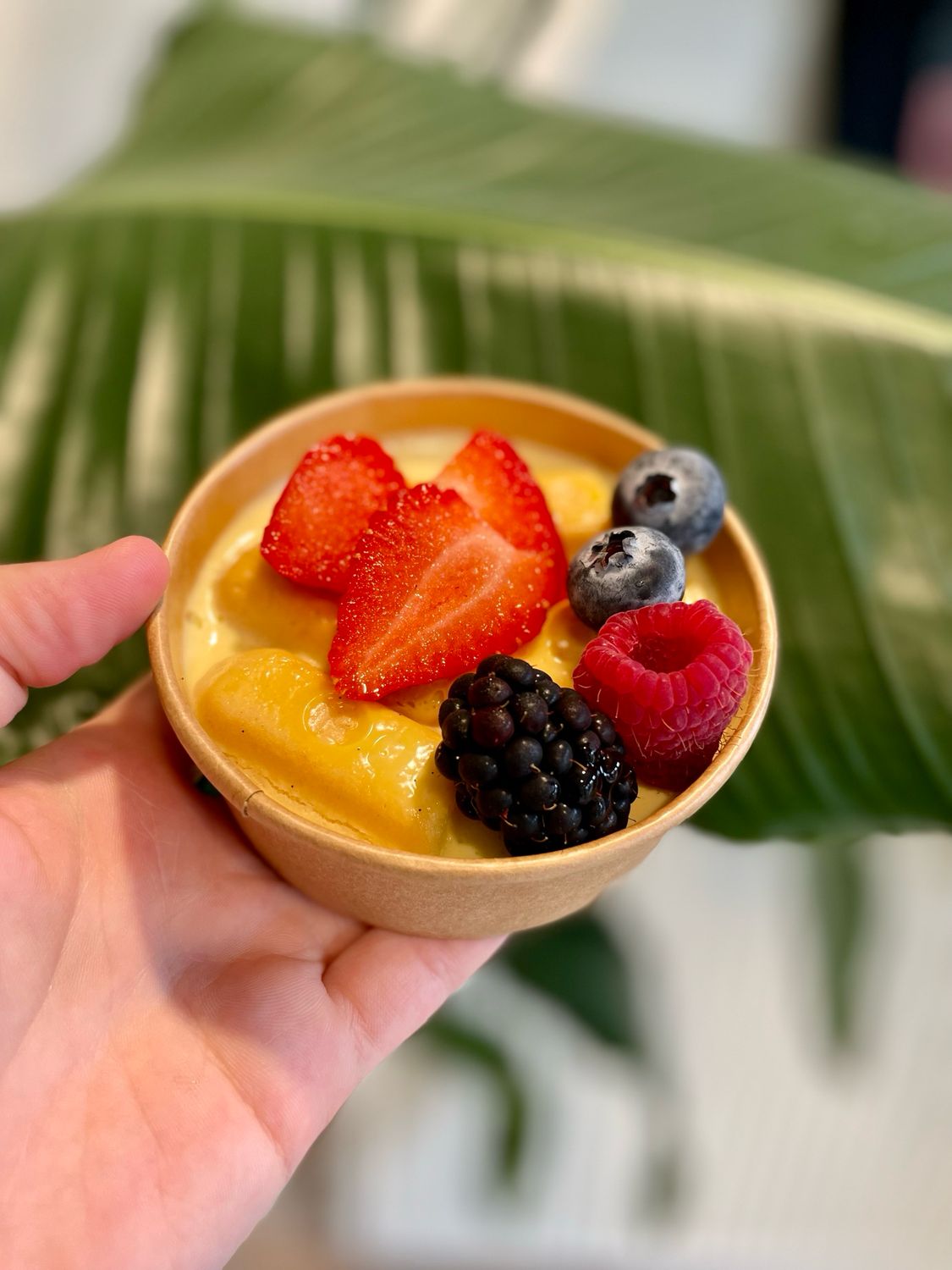 Panna cotta