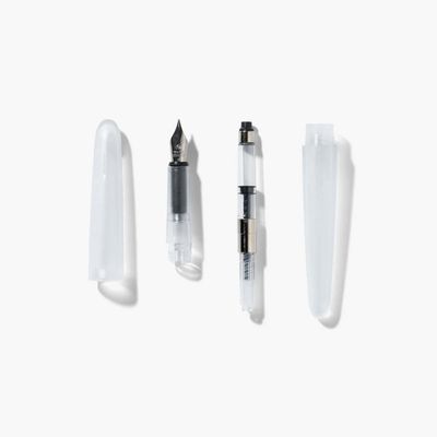 Frost Fountain pen